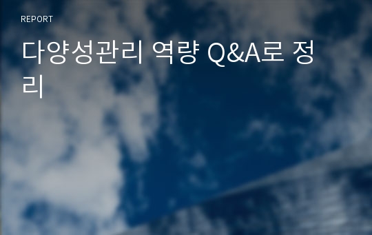 다양성관리 역량 Q&amp;A로 정리