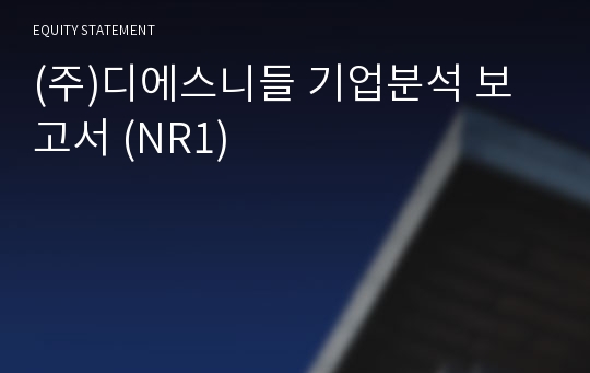 (주)디에스니들 기업분석 보고서 (NR1)