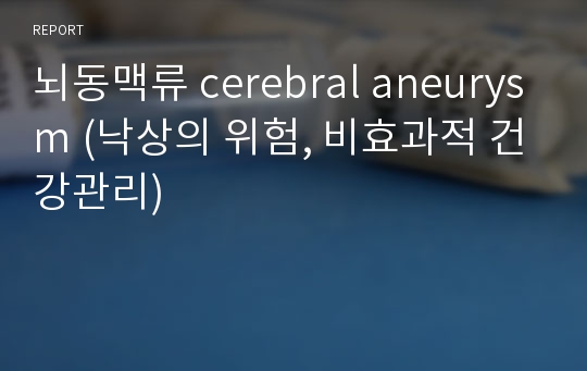 뇌동맥류 cerebral aneurysm (낙상의 위험, 비효과적 건강관리)