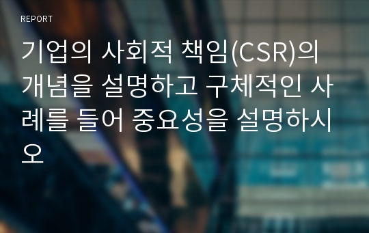 기업의 사회적 책임(CSR)의 개념을 설명하고 구체적인 사례를 들어 중요성을 설명하시오