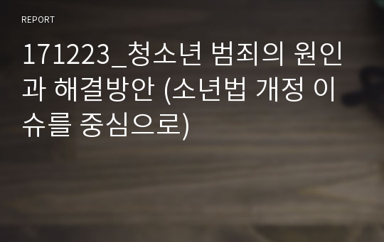 171223_청소년 범죄의 원인과 해결방안 (소년법 개정 이슈를 중심으로)