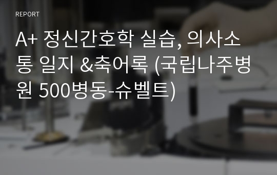 A+ 정신간호학 실습, 의사소통 일지 &amp;축어록 (국립나주병원 500병동-슈벨트)