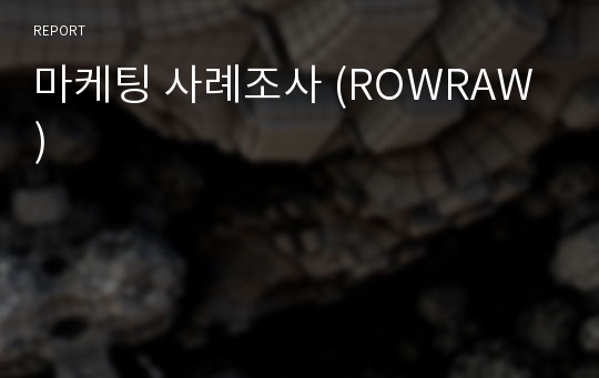 마케팅 사례조사 (ROWRAW)