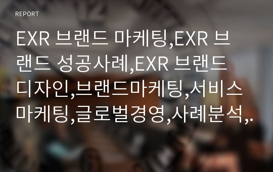 EXR 브랜드 마케팅,EXR 브랜드 성공사례,EXR 브랜드 디자인,브랜드마케팅,서비스마케팅,글로벌경영,사례분석,swot,stp,4p