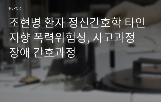 조현병 환자 정신간호학 타인지향 폭력위험성, 사고과정 장애 간호과정