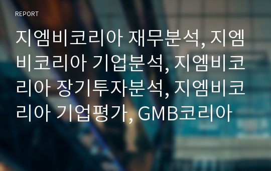 지엠비코리아 재무분석, 지엠비코리아 기업분석, 지엠비코리아 장기투자분석, 지엠비코리아 기업평가, GMB코리아