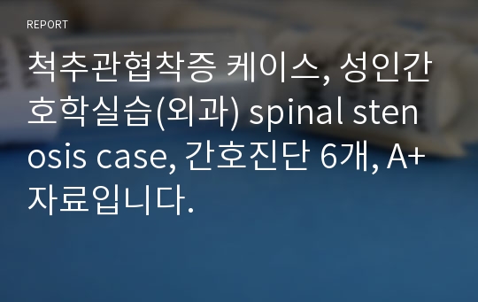 척추관협착증 케이스, 성인간호학실습(외과) spinal stenosis case, 간호진단 6개, A+자료입니다.