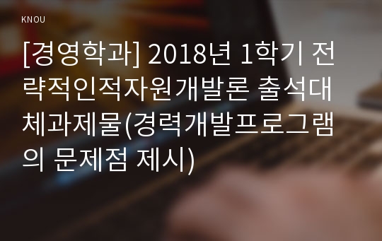 [경영학과] 2018년 1학기 전략적인적자원개발론 출석대체과제물(경력개발프로그램의 문제점 제시)