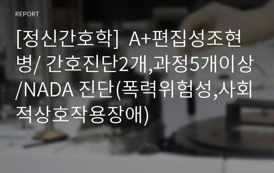 [정신간호학]  A+편집성조현병/ 간호진단2개,과정5개이상/NADA 진단(폭력위험성,사회적상호작용장애)