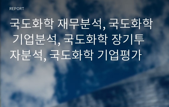 국도화학 재무분석, 국도화학 기업분석, 국도화학 장기투자분석, 국도화학 기업평가