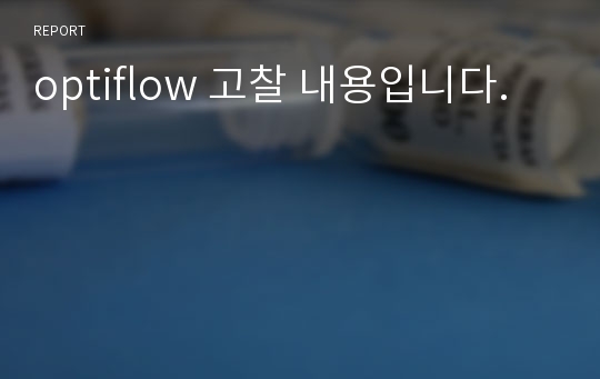 optiflow 고찰 내용입니다.