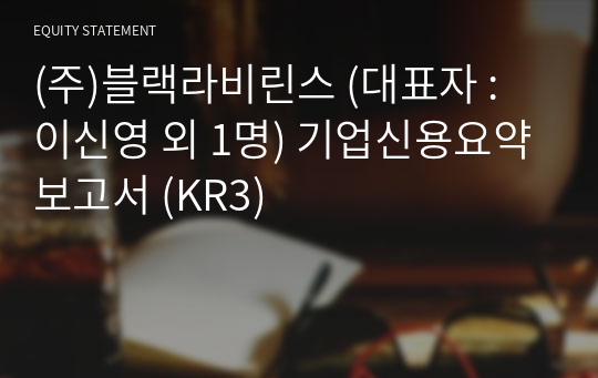 (주)블랙라비린스 기업신용요약보고서 (KR3)