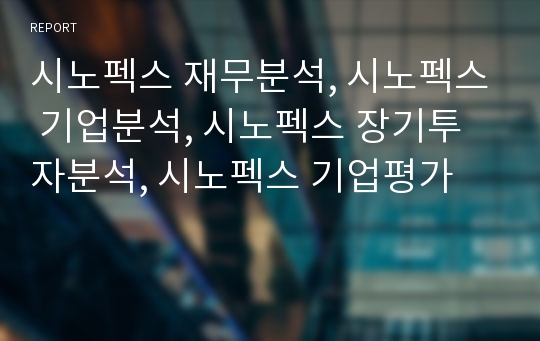 시노펙스 재무분석, 시노펙스 기업분석, 시노펙스 장기투자분석, 시노펙스 기업평가