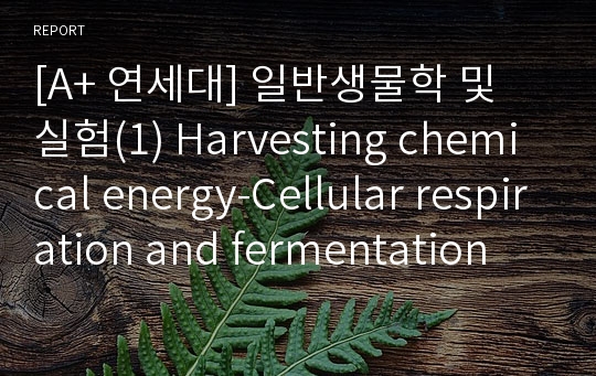 [A+ 연세대] 일반생물학 및 실험(1) Harvesting chemical energy-Cellular respiration and fermentation