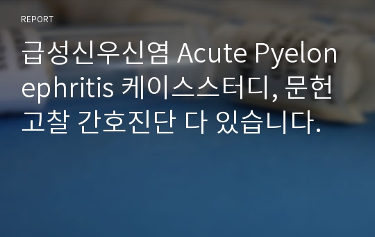 급성신우신염 Acute Pyelonephritis 케이스스터디, 문헌고찰 간호진단 다 있습니다.