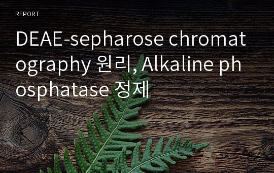 DEAE-sepharose chromatography 원리, Alkaline phosphatase 정제