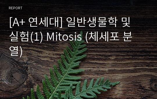 [A+ 연세대] 일반생물학 및 실험(1) Mitosis (체세포 분열)