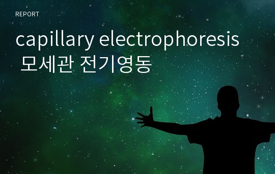 capillary electrophoresis  모세관 전기영동