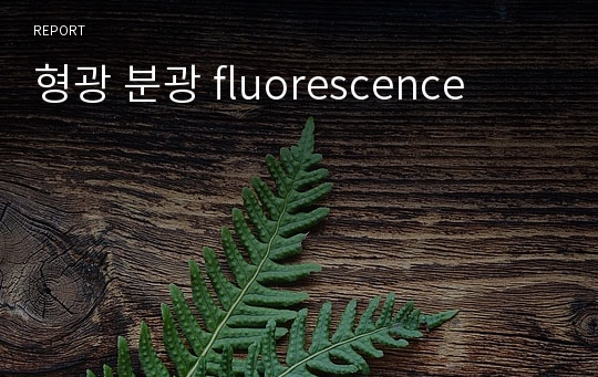 형광 분광 fluorescence