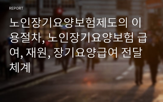 노인장기요양보험제도의 이용절차, 노인장기요양보험 급여, 재원, 장기요양급여 전달체계