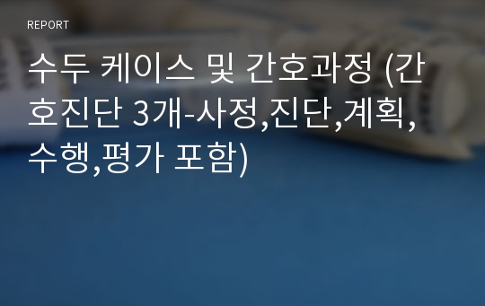 수두 케이스 및 간호과정 (간호진단 3개-사정,진단,계획,수행,평가 포함)