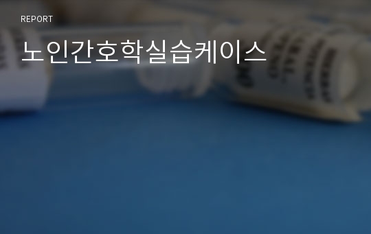 노인간호학실습케이스