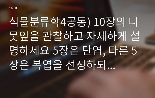 식물분류학4공통) 10장의 나뭇잎을 관찰하고 자세하게 설명하세요 5장은 단엽, 다른 5장은 복엽을 선정하되 각각 다른 종으로 선정하며 종의 이름이 무엇인지에 대하여 기입하세요