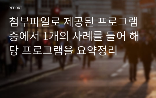 첨부파일로 제공된 프로그램 중에서 1개의 사례를 들어 해당 프로그램을 요약정리