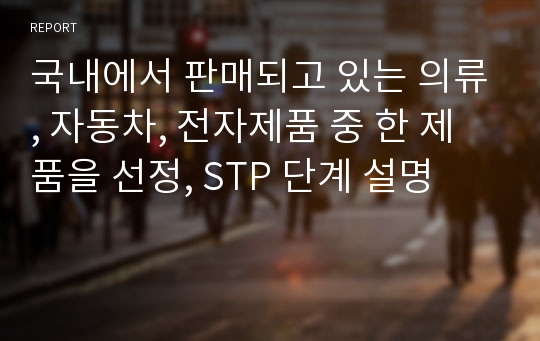 국내에서 판매되고 있는 의류, 자동차, 전자제품 중 한 제품을 선정, STP 단계 설명