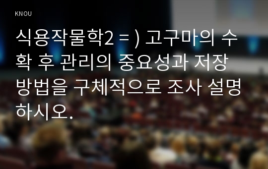 식용작물학2 = ) 고구마의 수확 후 관리의 중요성과 저장방법을 구체적으로 조사 설명하시오.