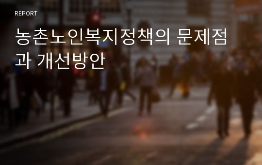 농촌노인복지정책의 문제점과 개선방안