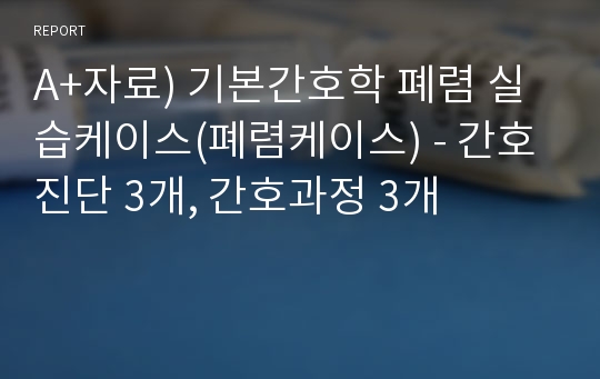 A+자료) 기본간호학 폐렴 실습케이스(폐렴케이스) - 간호진단 3개, 간호과정 3개