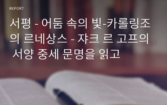 서평 - 어둠 속의 빛-카롤링조의 르네상스 - 쟈크 르 고프의 서양 중세 문명을 읽고