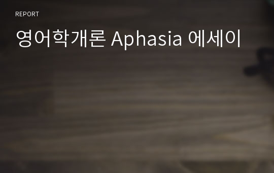 영어학개론 Aphasia 에세이