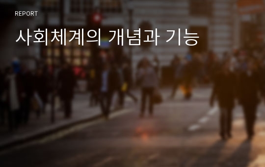 사회체계의 개념과 기능