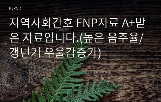 지역사회간호 FNP자료 A+받은 자료입니다.(높은 음주율/갱년기 우울감증가)