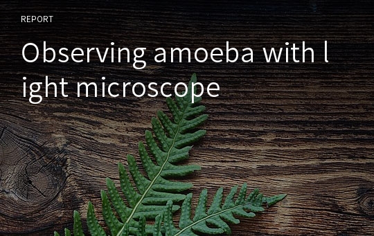 Observing amoeba with light microscope