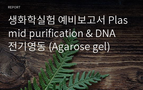 생화학실험 예비보고서 Plasmid purification &amp; DNA 전기영동 (Agarose gel)