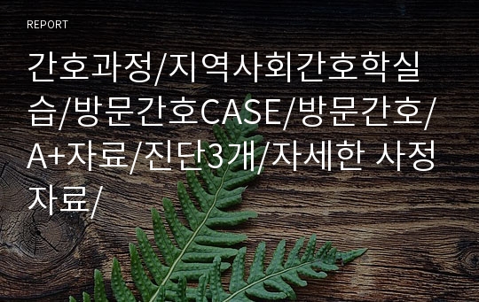 간호과정/지역사회간호학실습/방문간호CASE/방문간호/A+자료/진단3개/자세한 사정자료/