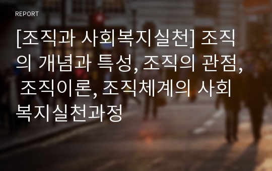 [조직과 사회복지실천] 조직의 개념과 특성, 조직의 관점, 조직이론, 조직체계의 사회복지실천과정