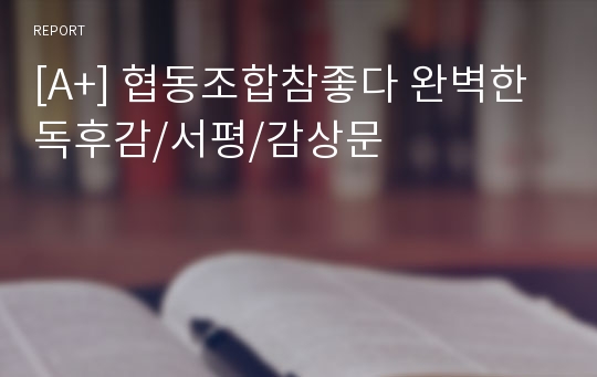 [A+] 협동조합참좋다 완벽한 독후감/서평/감상문