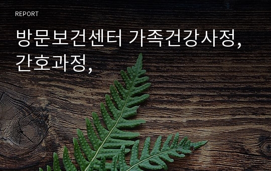 방문보건센터 가족건강사정, 간호과정,