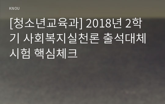 [청소년교육과] 2018년 2학기 사회복지실천론 출석대체시험 핵심체크