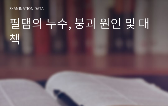 필댐의 누수, 붕괴 원인 및 대책