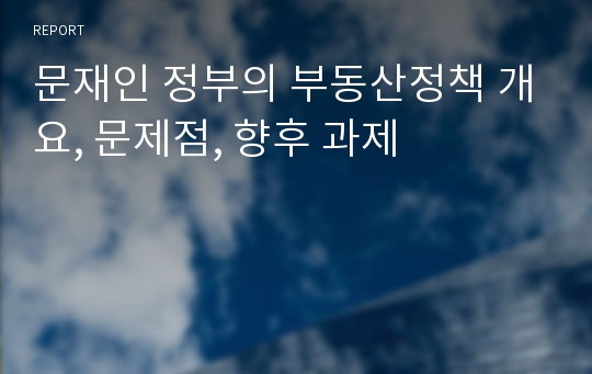 문재인 정부의 부동산정책 개요, 문제점, 향후 과제