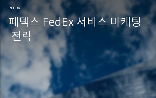 페덱스 FedEx 서비스 마케팅 전략