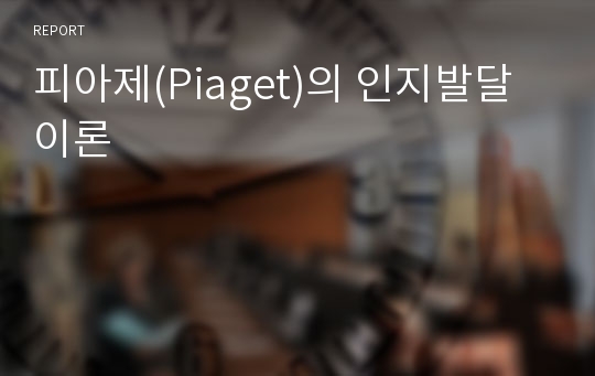 피아제(Piaget)의 인지발달이론