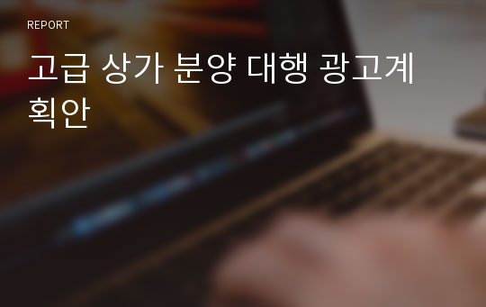 고급 상가 분양 대행 광고계획안