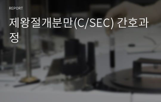 제왕절개분만(C/SEC) 간호과정