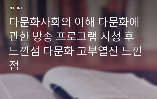 다문화사회의 이해 다문화에 관한 방송 프로그램 시청 후 느낀점 다문화 고부열전 느낀점